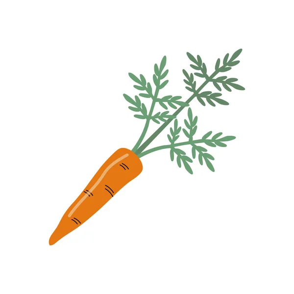 Морквяний Значок Плоскому Стилі Ізольований Єкт Логотип Моркви Органічна Їжа — стоковий вектор