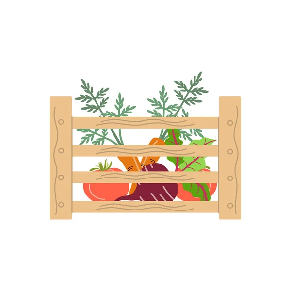 Коробка Овочами Сітка Еко Сумка Повна Овочів Векторні Ілюстрації Стилі — стоковий вектор