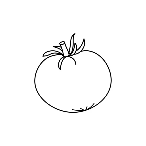 Иконка Помидора Стиле Контура Изолированный Объект Томатный Логотип Органическая Еда — стоковый вектор