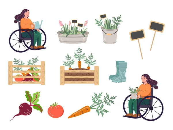 정원가꾸기 텃밭에 귀여운 요소들 사탕무 토마토 상자의 고무장화 휠체어를 여자는 — 스톡 벡터