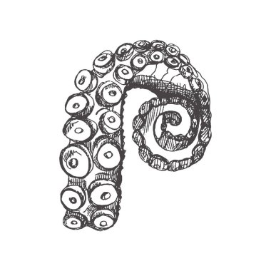 Hand drawn sketch of octopus tentacle. Vector aquatic monochrome  illustration isolated on white background.	 