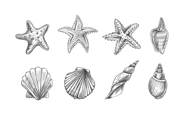 Seashells Marine Starfish Scallop Seashell Vector Zestaw Ręcznie Rysowany Szkic — Wektor stockowy