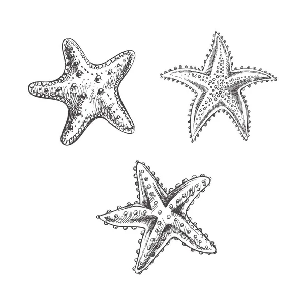 Hand Drawn Sketch Marine Starfishs Ocean Aquatic Underwater Vector Engraving — Wektor stockowy