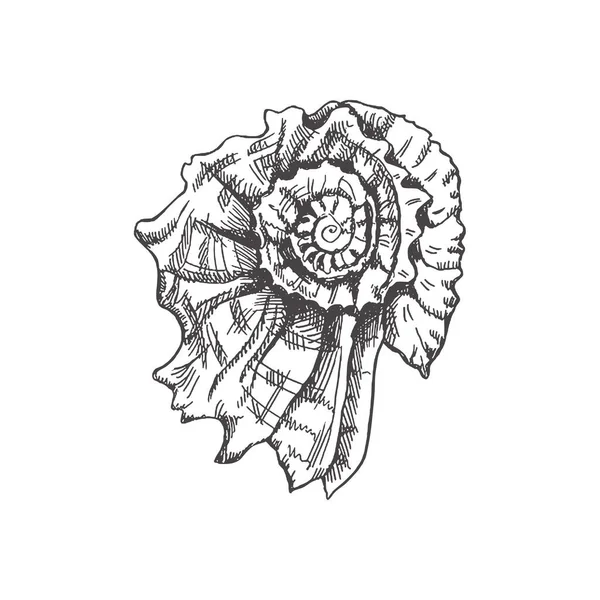 Hand Drawn Sketch Prehistoric Ammonite Seashell Sketch Style Vector Illustration — ストックベクタ