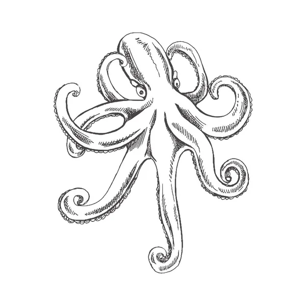 Hand Drawn Sketch Octopus Vector Aquatic Monochrome Illustration Isolated White — ストックベクタ