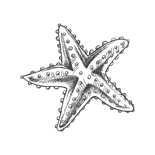Hand Drawn Sketch Marine Starfish Ocean Aquatic Underwater Vector Engraving — Wektor stockowy