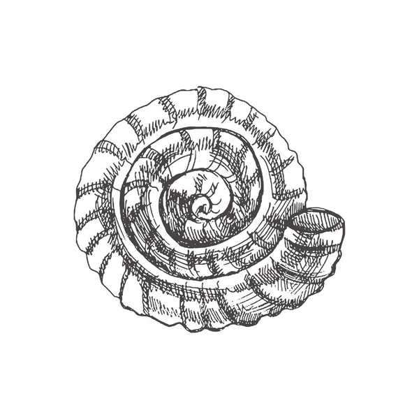 Hand Drawn Sketch Prehistoric Ammonite Seashell Sketch Style Vector Illustration — 图库矢量图片