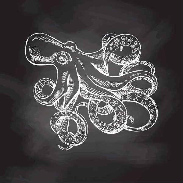 Hand Drawn White Sketch Octopus Vector Aquatic Monochrome Illustration Isolated — Stok Vektör