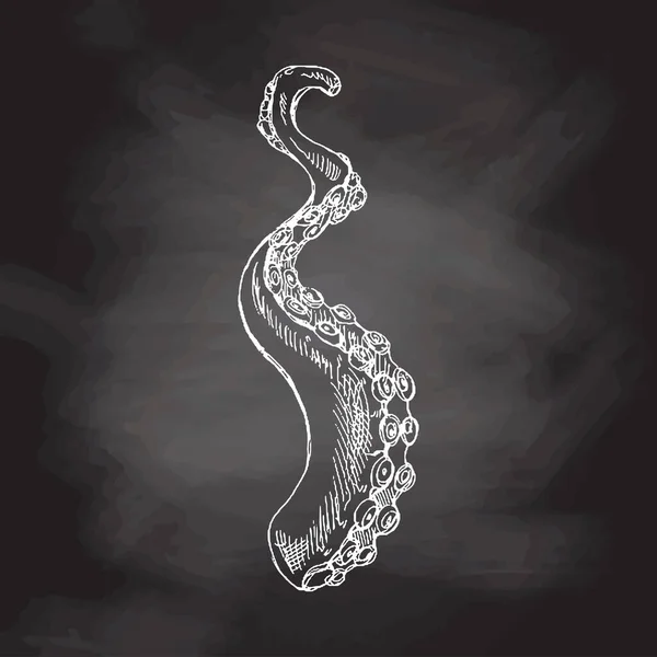 Hand Drawn White Sketch Octopus Tentacle Vector Aquatic Monochrome Illustration — Stok Vektör
