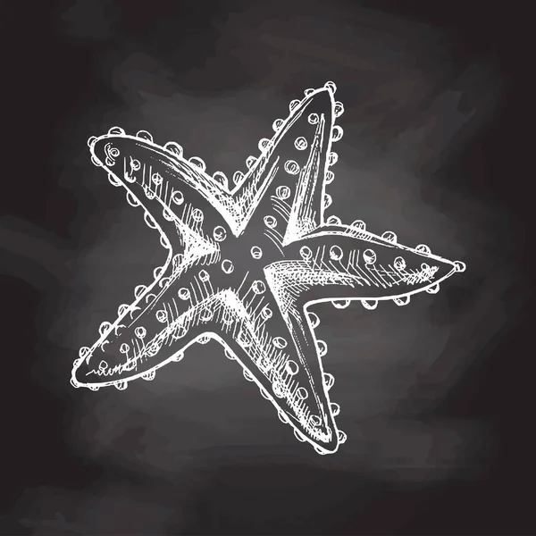 Hand Drawn White Sketch Marine Starfish Ocean Aquatic Underwater Vector — 图库矢量图片