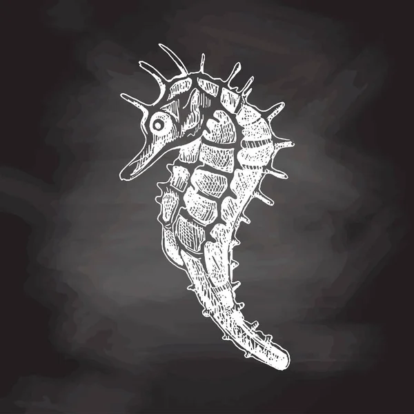 Hand Drawn White Sketch Seahorse Vector Aquatic Monochrome Illustration Isolated — ストックベクタ