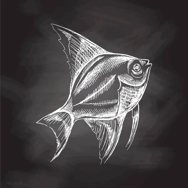 Tropical Fish Illustration Drawing Engraving Ink Line Art Vector Fish — стоковый вектор
