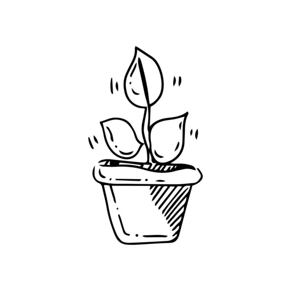 Растение Горшок Окрашены Черной Линией Белом Фоне Эко Концепция Ручной — стоковый вектор