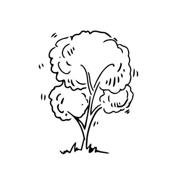 Baum Doodle Symbol Auf Weißem Hintergrund Öko Konzept Handgezeichnete Vektor — Stockvektor