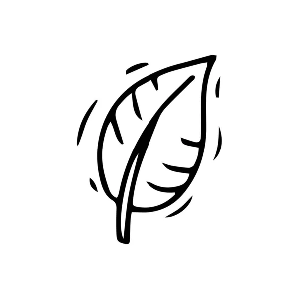 Simple Sketch Line Style Element Doodle Cute Ink Pen Leaf — Stok Vektör