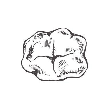 Kökleri olan çok detaylı bir insan dişi çizilmiş. El çizimi eskiz. Molar üst görünüm resimlemesi beyaz arkaplanda izole edildi.