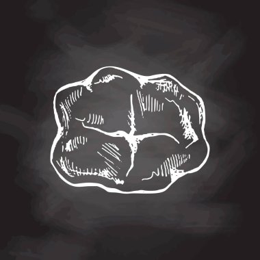 Kökleri olan çok detaylı bir insan dişi çizilmiş. El çizimi eskiz. Molar üst görünüm resimlemesi beyaz arkaplanda izole edildi.