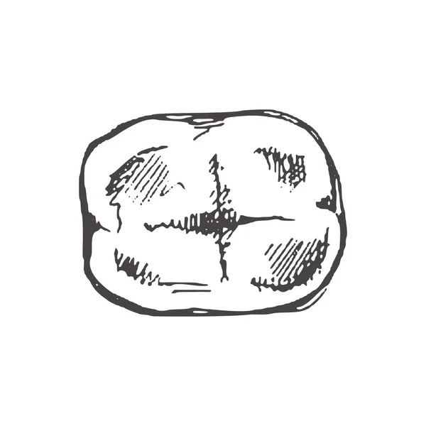 Высоко Детализированный Зуб Человека Корнями Ручной Рисунок Молярная Иллюстрация Сверху — стоковый вектор