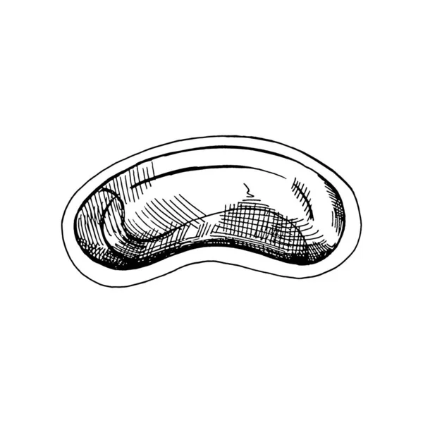 Handgezeichnete Skizze Einer Medizinischen Stahlplatte Auf Weißem Hintergrund Stomatologische Eigenschaften — Stockvektor