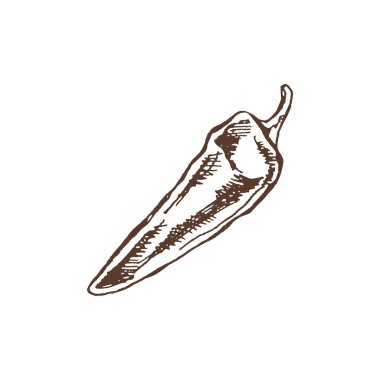 Organik yiyecekler. Şili biberinin el çizimi vektör çizimi. Doodle vintage çizimi. Kafelerin ve etiketlerin menüsü için dekorasyonlar. Kabartmalı immage. 