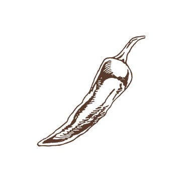 Organik yiyecekler. Şili biberinin el çizimi vektör çizimi. Doodle vintage çizimi. Kafelerin ve etiketlerin menüsü için dekorasyonlar. Kabartmalı immage. 