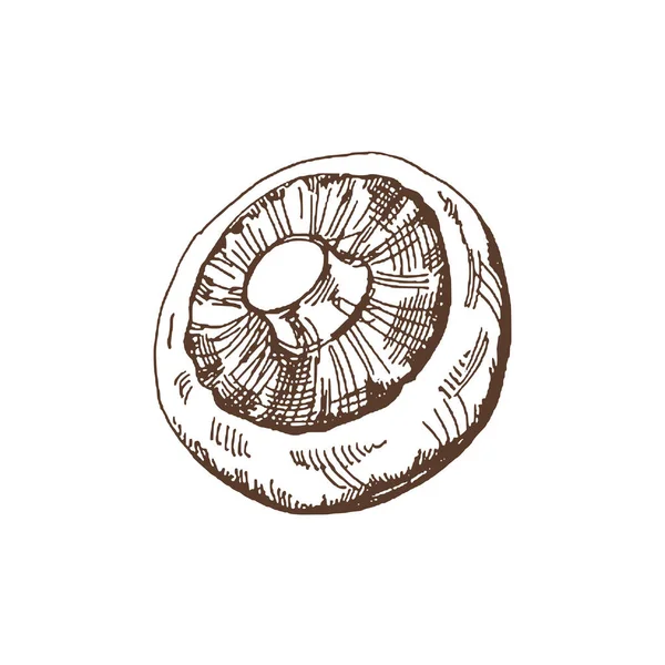 Nourriture Biologique Croquis Vectoriel Dessiné Main Champignon Illustration Vintage Doodle — Image vectorielle