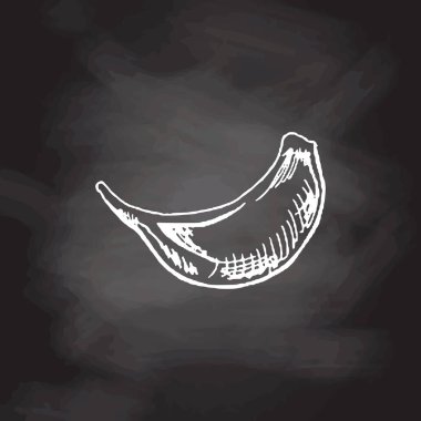 Organik yiyecekler. Sarımsağın el çizimi vektör çizimi. Kara tahta arka planlarında klasik çizimler var. Kafelerin ve etiketlerin menüsü için dekorasyonlar. Kabartmalı immage. 