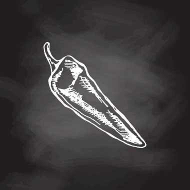 Organik yiyecekler. Şili biberinin el çizimi vektör çizimi. Kara tahta arka planlarında klasik çizimler var. Kafelerin ve etiketlerin menüsü için dekorasyonlar. Kabartmalı immage. 