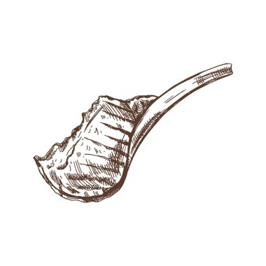 Organik yiyecekler. Bifteğin el çizimi vektör çizimi, kemiğe bir parça et. Doodle vintage çizimi. Kafelerin ve etiketlerin menüsü için dekorasyonlar. Kabartmalı immage.
