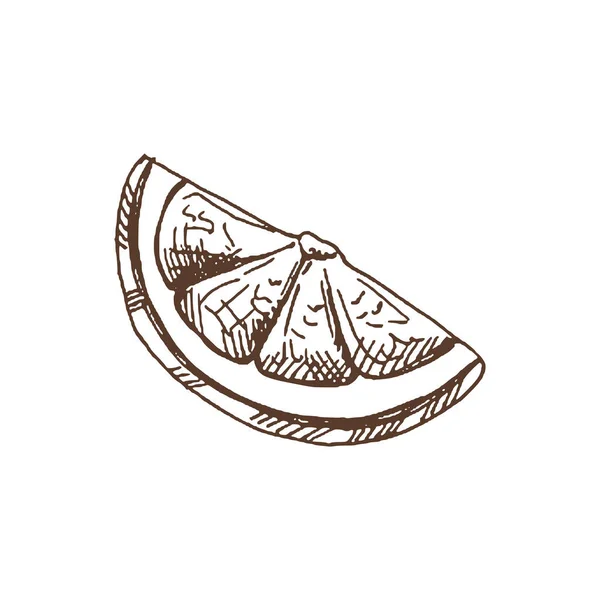 Органічна Їжа Рука Намальована Векторним Ескізом Лимонного Шматочка Дудл Старовинна — стоковий вектор