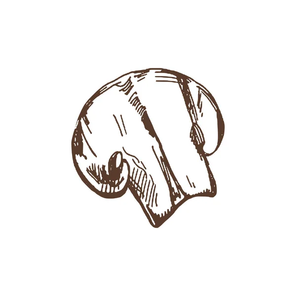 Comida Orgânica Desenho Vetorial Desenhado Mão Champignon Grelhado Doodle Ilustração — Vetor de Stock