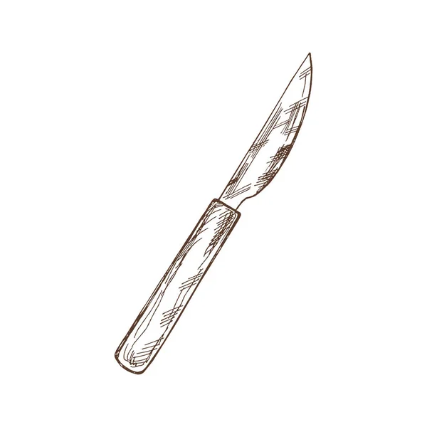 Ręcznie Rysowany Szkic Wektorowy Metalowego Noża Drewnianą Rączką Białym Tle — Wektor stockowy