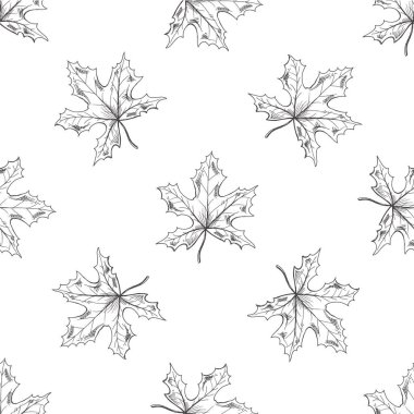 Vektör el çizimi okul illüstrasyonu. Detaylı retro tarzı akçaağaç yaprağı dikişsiz desen. Eskiz çizimi, karalama. Okula Dönüş.