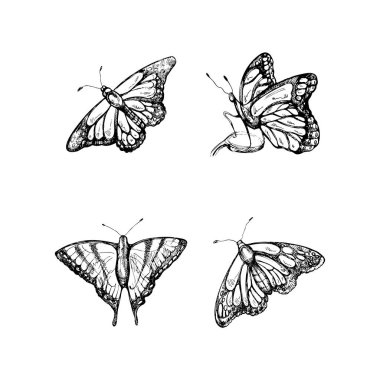 El çizimi kelebek çizimi seti. Tek renkli böcekler karalama yapar. Siyah beyaz bağbozumu elementleri. Vektör çizimi. Ayrıntılı retro biçimi.