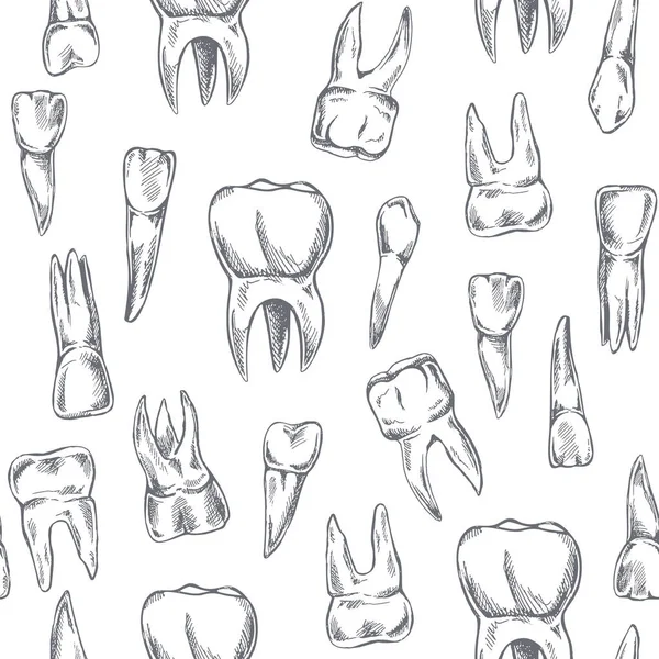 手描きのベクターシームレスな歯のパターン ティースケッチ 異なるタイプの人間の歯 デンタルケア — ストックベクタ