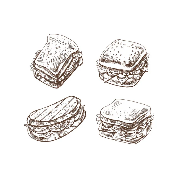 Nourriture Biologique Esquisse Vectorielle Style Rétro Dessinée Main Ensemble Sandwich — Image vectorielle