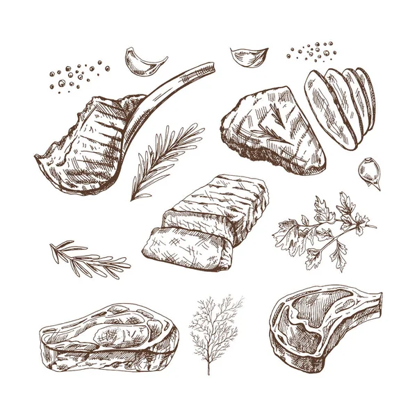 Ensemble Croquis Dessinés Main Morceaux Viande Barbecue Avec Des Herbes — Image vectorielle