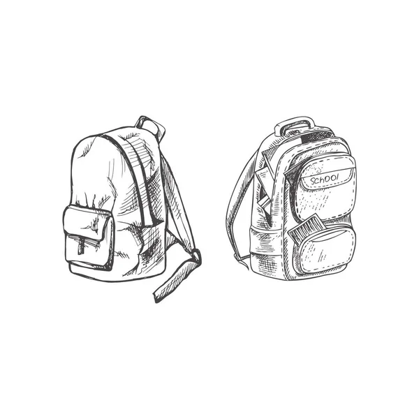 Vector Hand Drawn School Illustration Detailed Retro Style Backpacks Sketch — Stock Vector