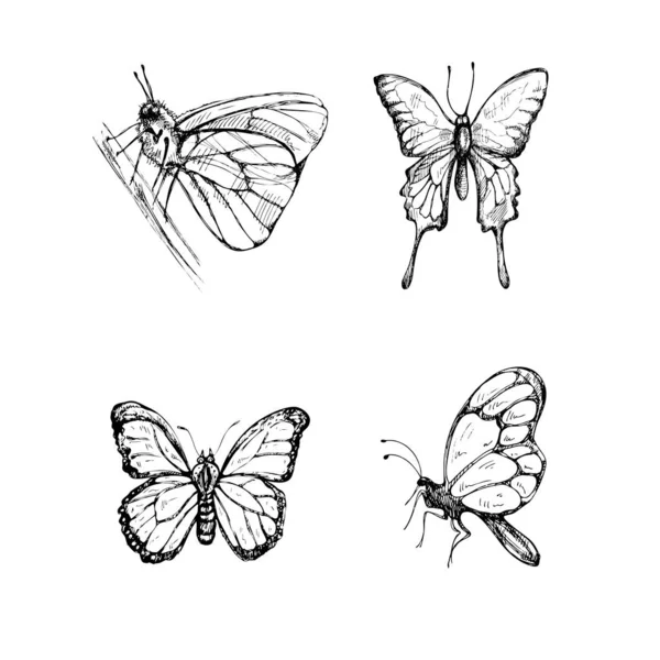 Handgezeichnetes Schmetterlingsskizzenset Einfarbige Insekten Kritzeln Schwarz Weiße Vintage Elemente Vektorskizze — Stockvektor