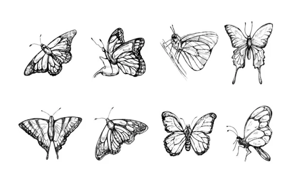 Handgezeichnetes Schmetterlingsskizzenset Einfarbige Insekten Kritzeln Schwarz Weiße Vintage Elemente Vektorskizze — Stockvektor