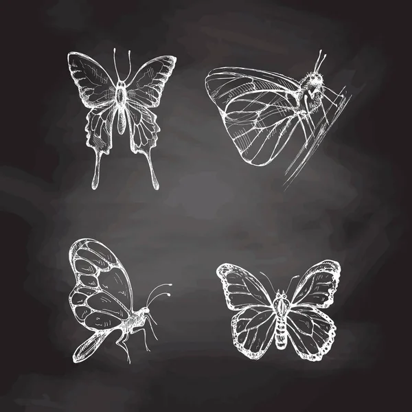 Ręcznie Rysowany Szkic Motyla Ustawiony Tle Tablicy Monochromatyczne Owady Bazgroły — Wektor stockowy