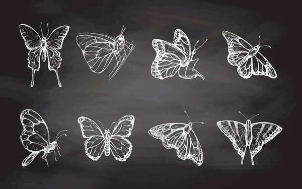 Handgezeichnete Schmetterlingsskizze Auf Kreidetafel Hintergrund Einfarbige Insekten Kritzeln Schwarz Weiße — Stockvektor