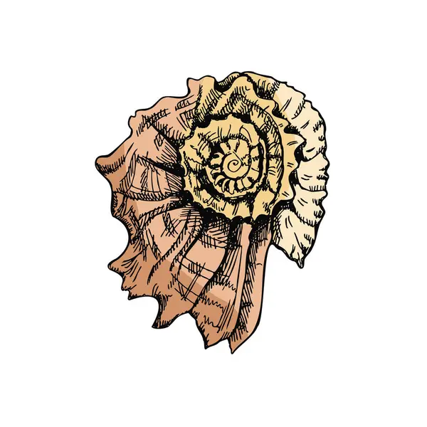 Hand Drawn Colored Sketch Prehistoric Ammonite Seashell Sketch Style Vector — Image vectorielle