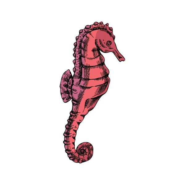 Hand Drawn Colored Sketch Seahorse Vector Aquatic Monochrome Illustration Isolated — Vetor de Stock