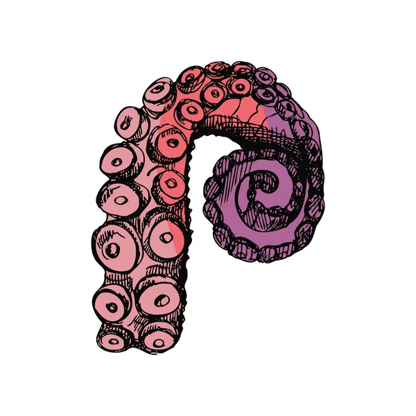 Hand Drawn Colored Sketch Octopus Tentacle Vector Aquatic Monochrome Illustration — Stockvektor