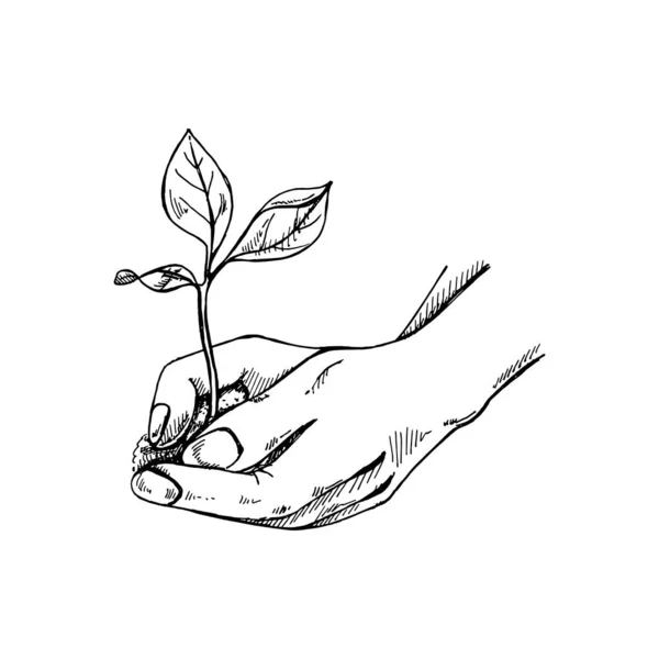 手描きの木のスケッチが手元に生えています エコケア 自然を救い 収穫するコンセプト ドードルベクトルイラスト ヴィンテージ — ストックベクタ