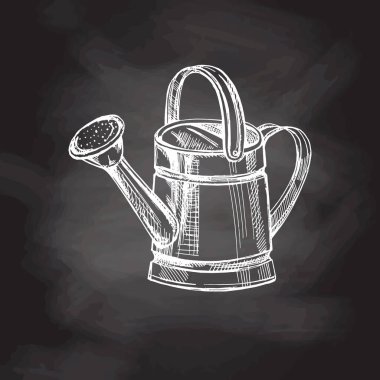 Tahta zemine elle çizilmiş bir sulama kutusu çizimi. Vektör çizimi. Karalama bahçıvanlığı. Ekoloji. 