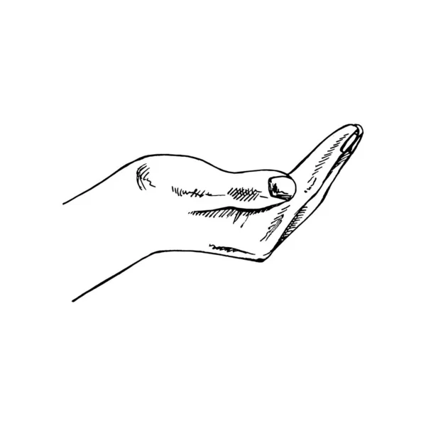 Ручной Черно Белый Эскиз Пустой Жеста Открытой Руки Выделенный Белом — стоковый вектор