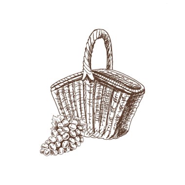 Hand drawn vector sketch of a wicker picnic basket and bunch of grapes. Doodle vintage illustration. Engraved immage.	