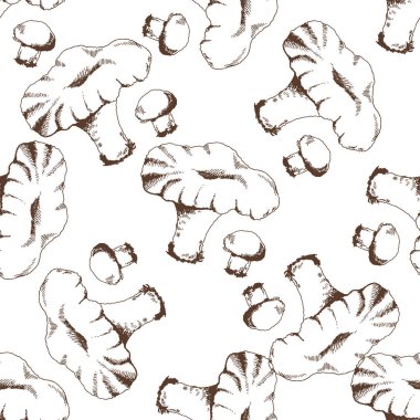 Kusursuz el yapımı mantarlar, mantarlar. Klasik çizim. Eko gıda vintage vektör çizimi. Yazdırma, web, mobil ve bilgi grafikleri için çizim.